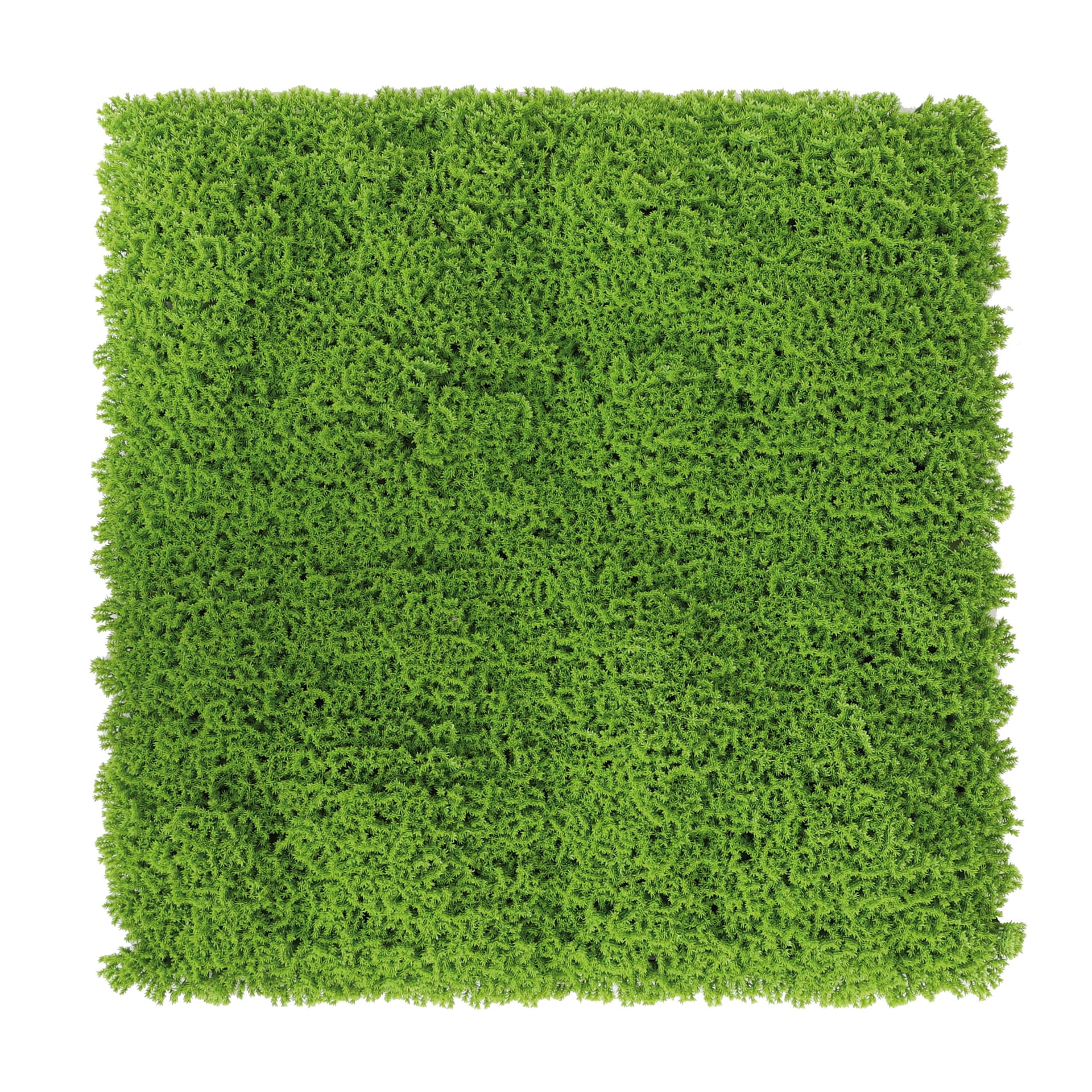 Siepe Artificiale da Parete Mod. Muschio Cm 50 x 50 Confine - 2