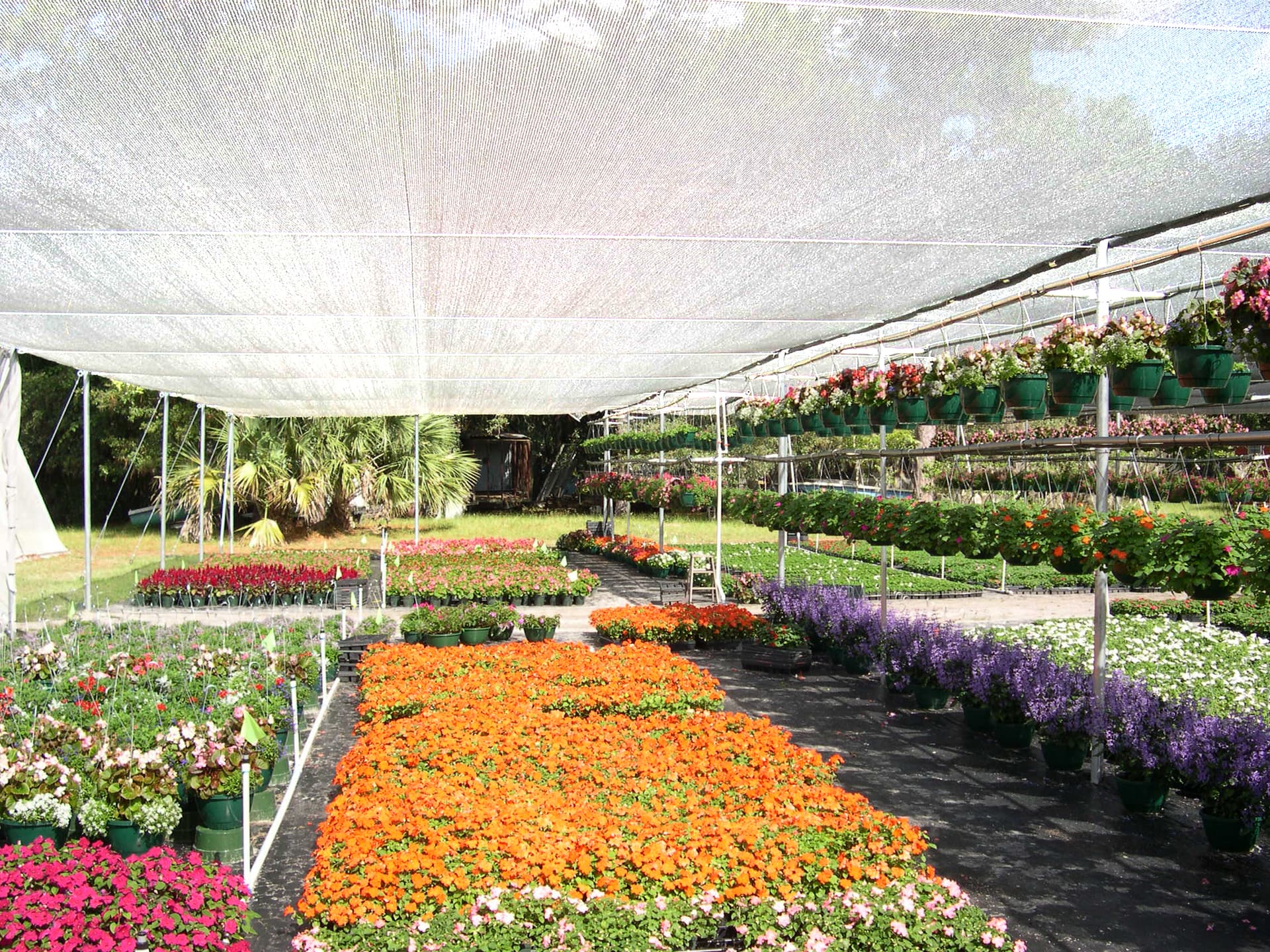 Rete Ombreggiante Rotolo M 100 Colore Bianco H. Cm 100 100.00 Mq Confine - 2