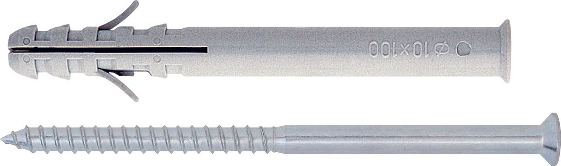 Tassello Tup con Vite Pozidrive 50 Pezzi. Mm 10 x 100 Friulsider - 2