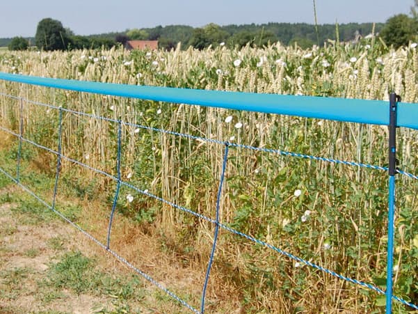 Rete Elettrificabile per Cinghiali Wildnet H Cm 73 Lungh. M 50 con 12 - 2