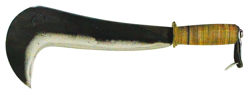 Roncola Solito con Manico in Cuoio Cm 32 - 2