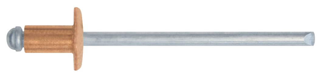 Rivetto a Strappo in Rame 100 Pezzi. Mm 4 0 x 9 10.00 Confezioni Friulsider - 2