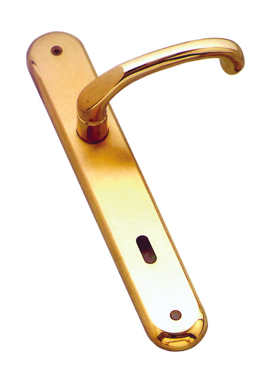 Maniglia Giada con Placca Foro Yale - 2