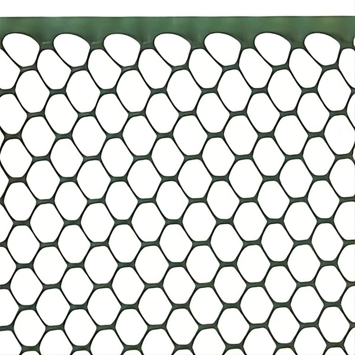 Rete Esagonale Esanet 20 x 15 Verde Rotolo M 50 H. Cm 100 - 2