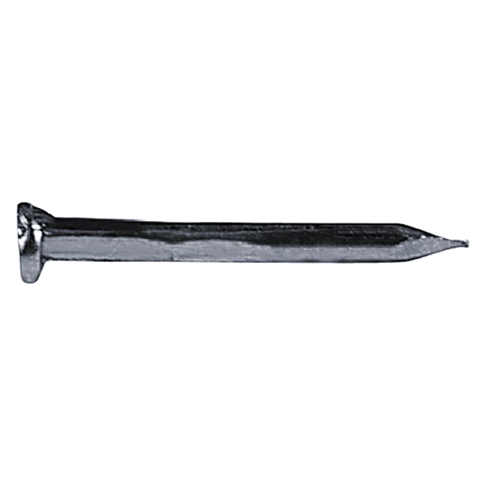 Chiodi Testa Piana Larga Tpl 50 gr 1,5 x 12 mm - 2