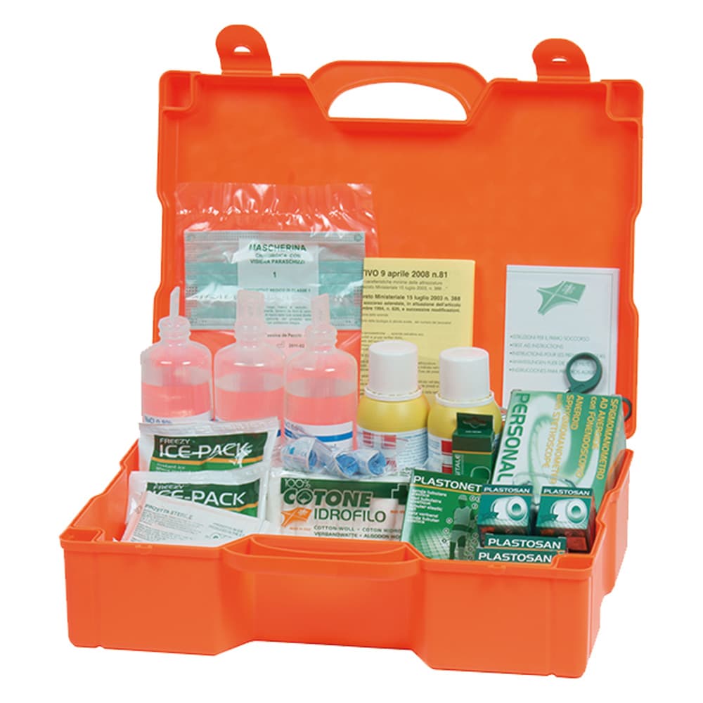 Cassetta Primo Soccorso CPS154 51 x 41 x 13 cm - 2