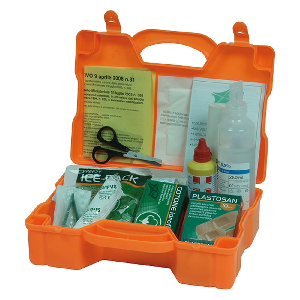 Cassetta Primo Soccorso CPS153 32 x 28 x 12 cm - 2