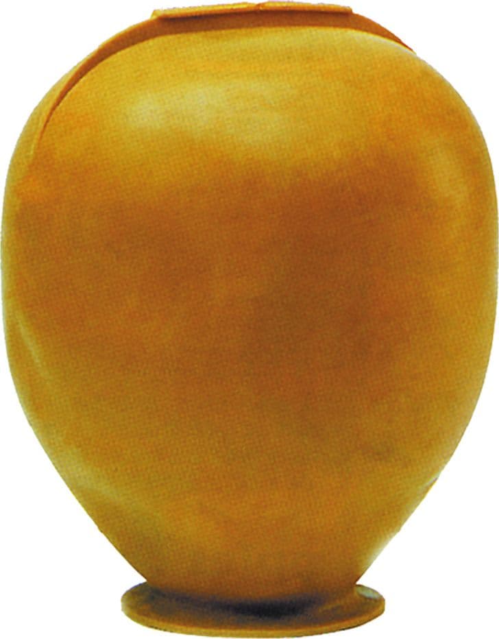 Membrana di Ricambio Extra 24 Lt – Autres