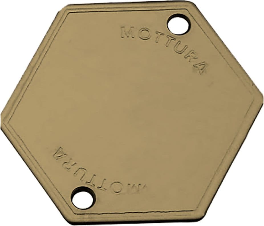 Mostrina Copriforo Art 95146 Mottura Finitura Ottonata - 2