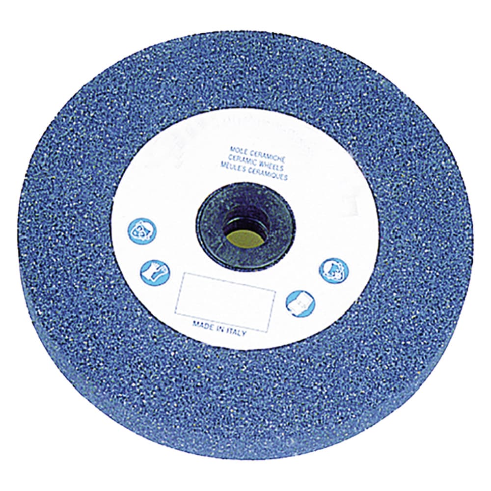 Mola Abrasiva F. 36 Ø 200 x 20 20 gr - 2