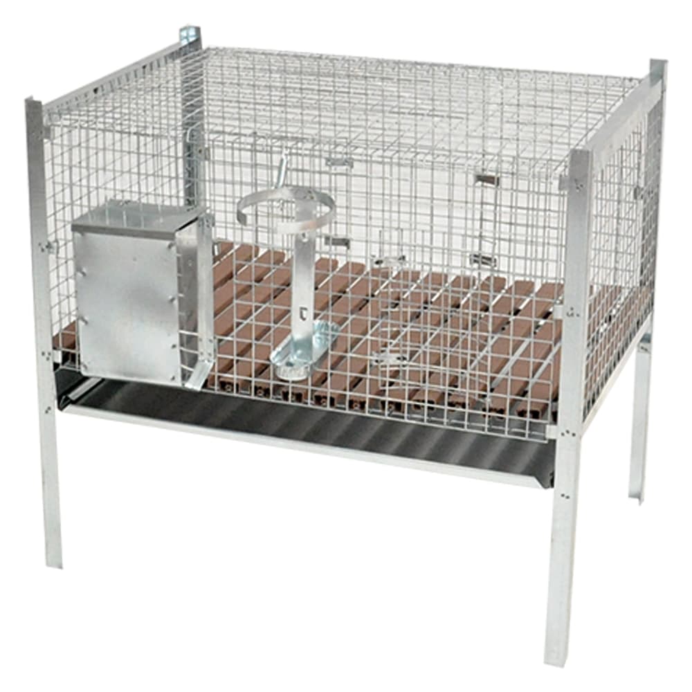 Gabbia Coniglio Maschio mg Gabbie 73 x 50 x 80 cm - 2