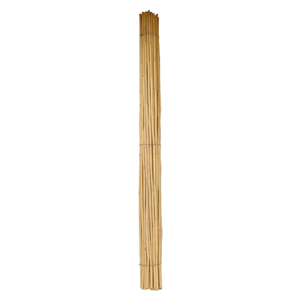 Canna Bambu' Circa H. 50 Pezzi Ø 28 30 mm 2,1 mt - 2