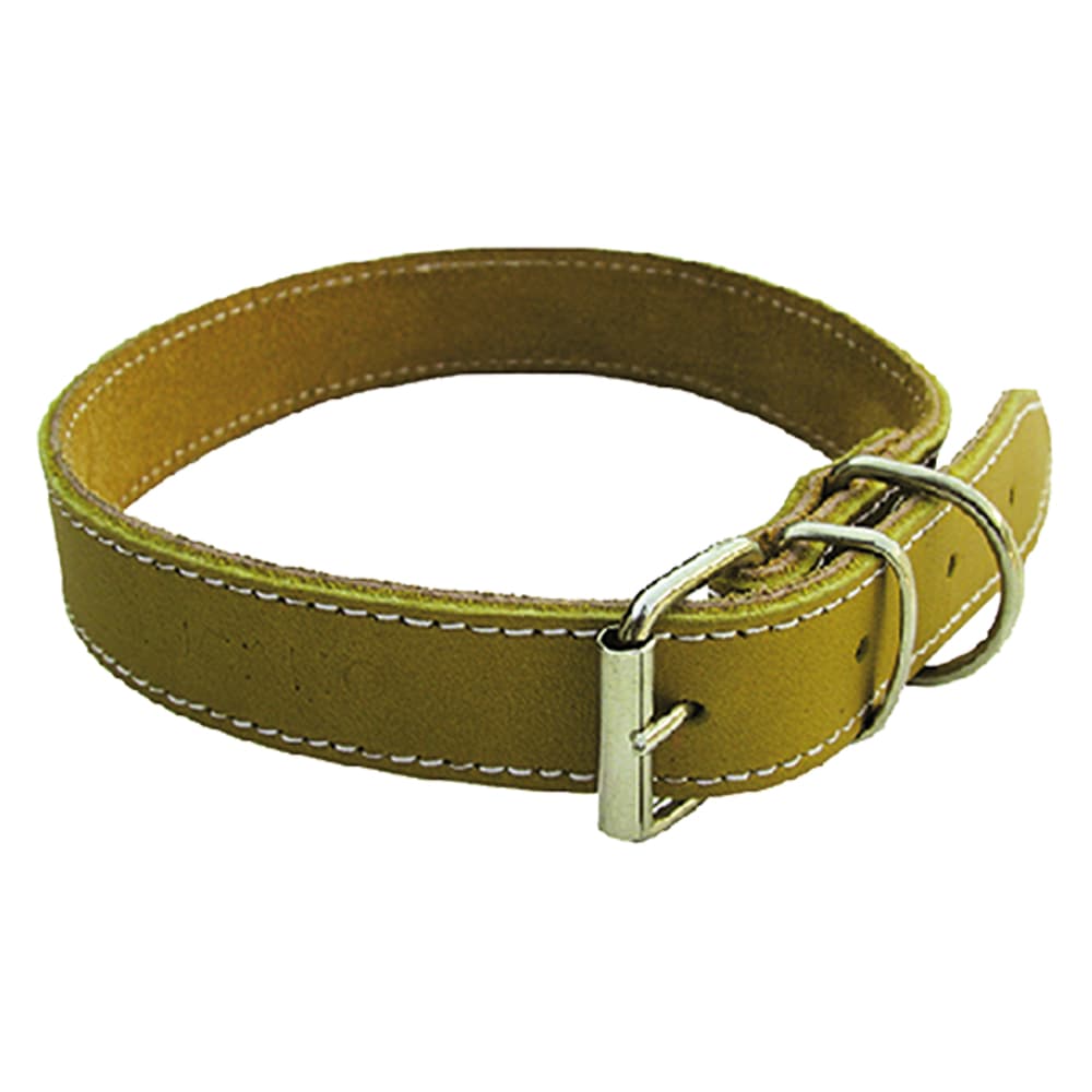 Collare per Cane Larg. Lung 6 Pezzi 25 mm 50 cm - 2