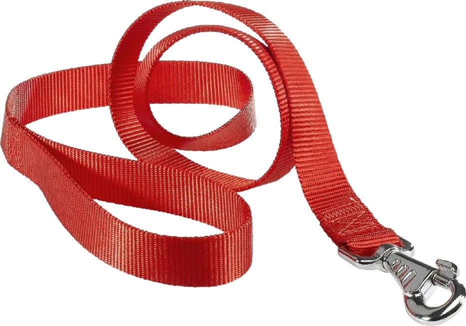 Guinzaglio per Cane X Ferplast Club g Rosso 2 Pezzi 1200 cm 10 mm