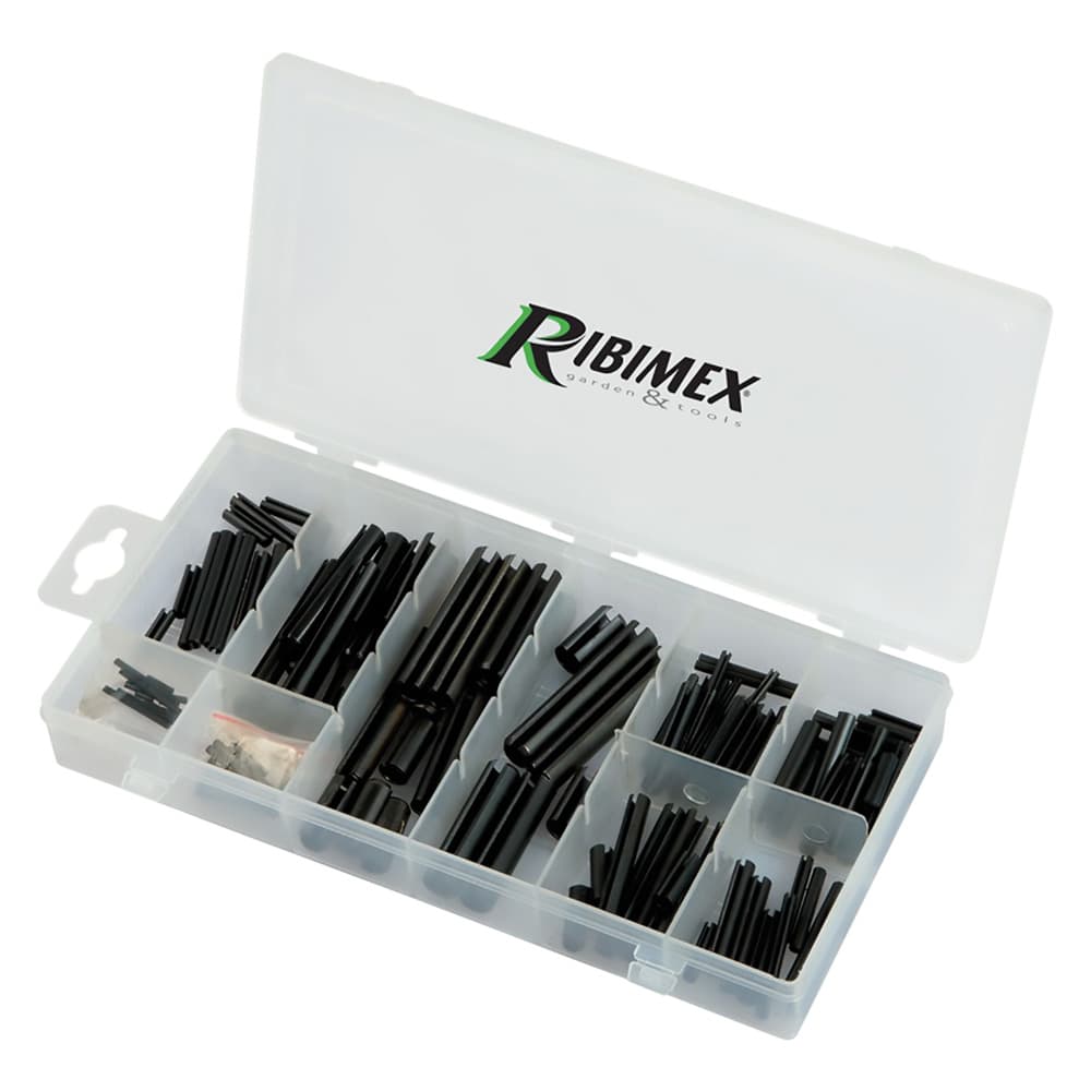 Spine Elastiche Assortiti Ribimex 120 Pezzi - 2