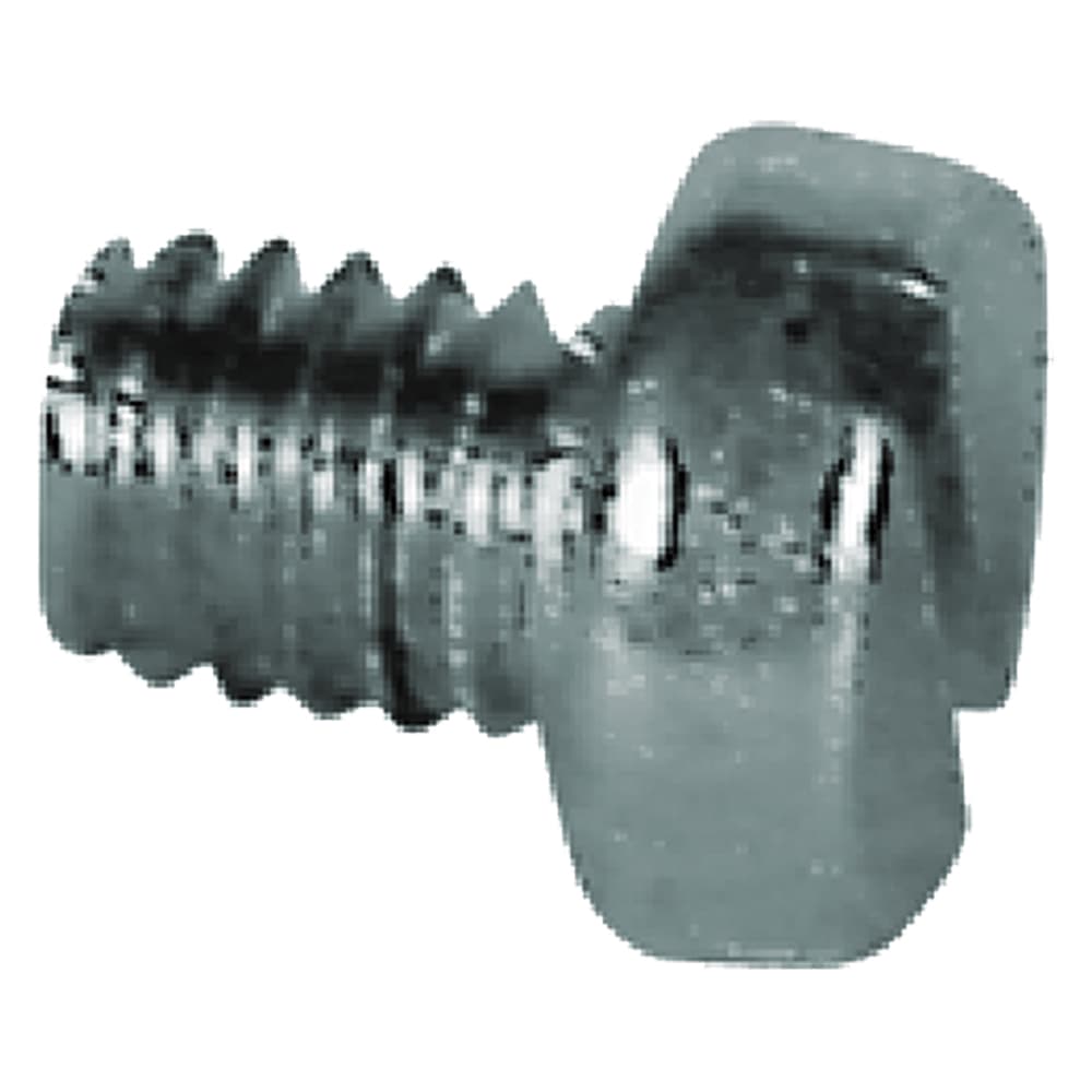 Ricambio Vite Fermadado per Forbici da Vigna Tc 4 x 6 Ambrovit 1000 Pezzi - 2