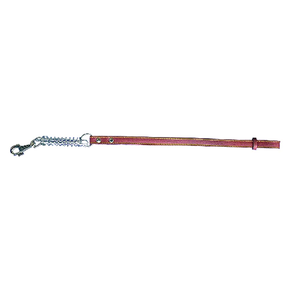Guinzaglio per Cane Larg. Lung. 18 mm 70 cm - 2