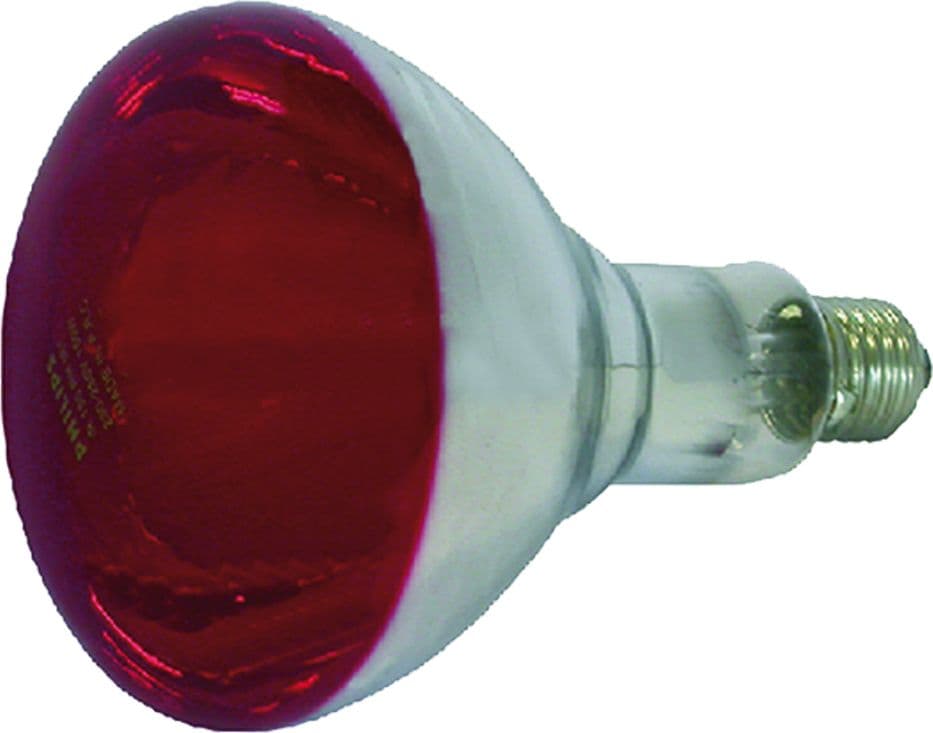 Lampada Infrarossi per Riflettore Albert Kerbl 150 w E27 - 2