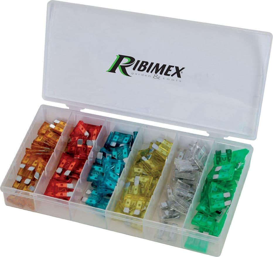 Assortimento Fusibili Ribimex 120 Pezzi - 2
