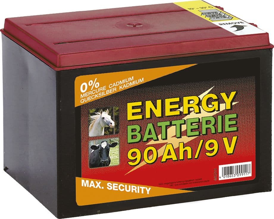 Batteria a Secco Albert Kerbl 130 Ah