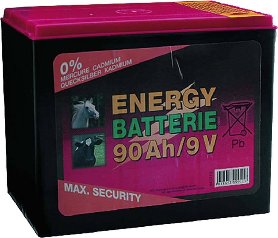 Batteria a Secco Albert Kerbl 130 Ah - 2
