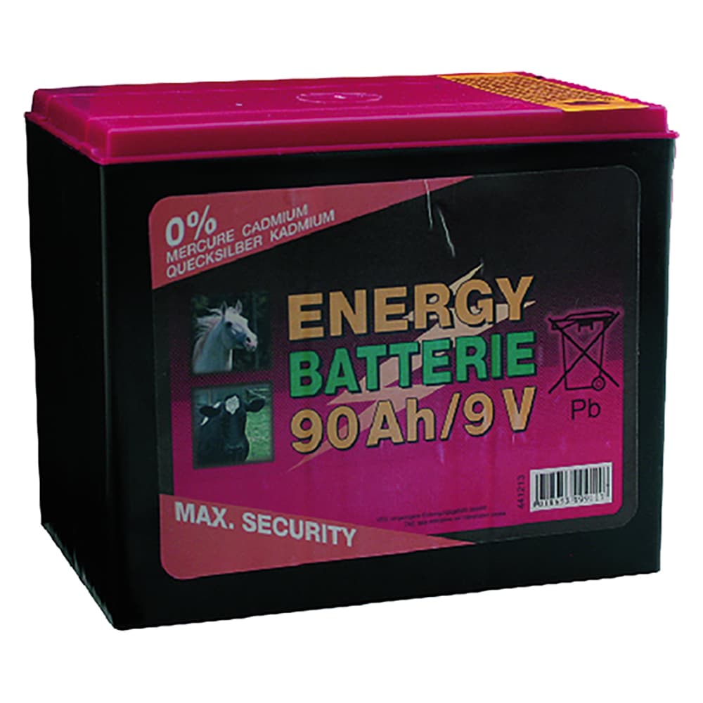 Batteria a Secco Albert Kerbl 130 ah - 2