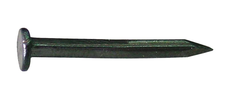 Sellerina in Acciaio Blu Misura 16 2 50 kg - 2