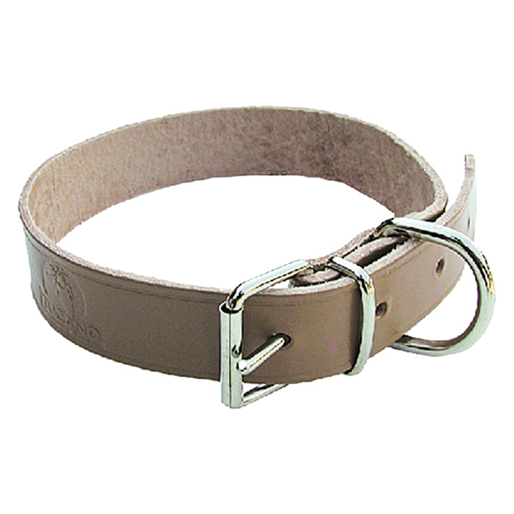 Collare per Cane Larg. Lung. 6 Pezzi 35 mm 68 cm - 2