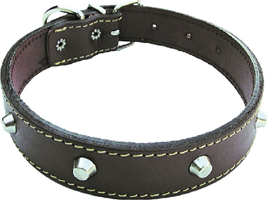 Collare per Cane Larg. Lung. in Cuoio 40 mm 65 cm - 2
