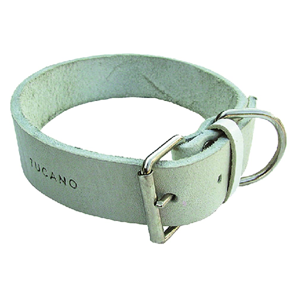 Collare per Cane Larg. Lung. 30 mm 55 cm - 2