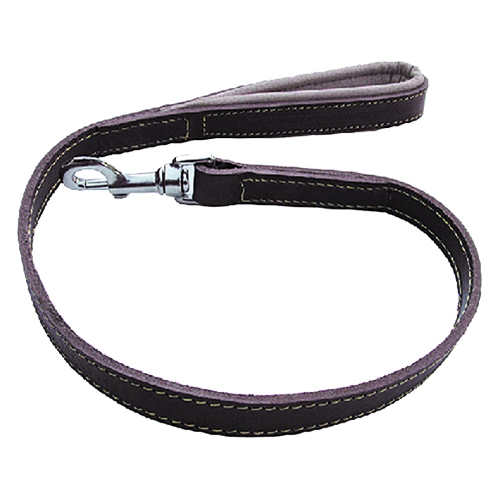Guinzaglio per Cane Larg. Lung. 20 mm 80 cm - 2
