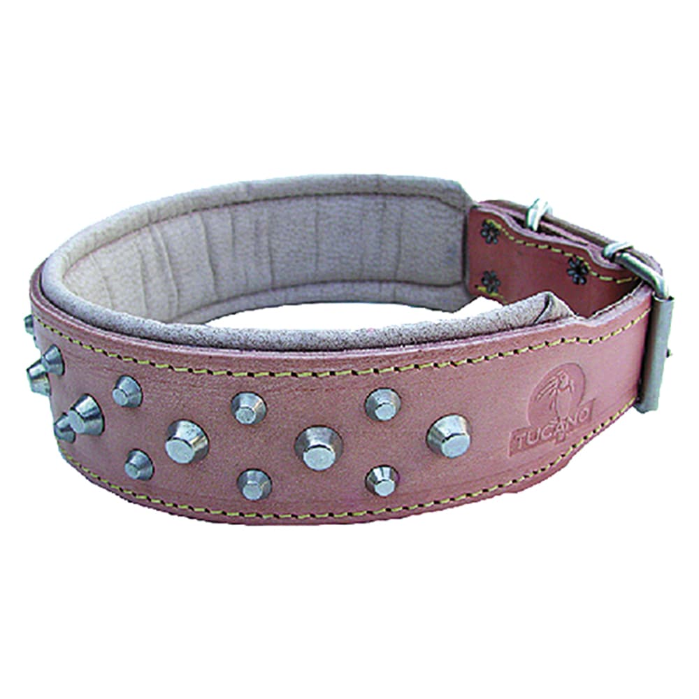 Collare per Cane Larg. Lung. 45 mm 63 cm - 2