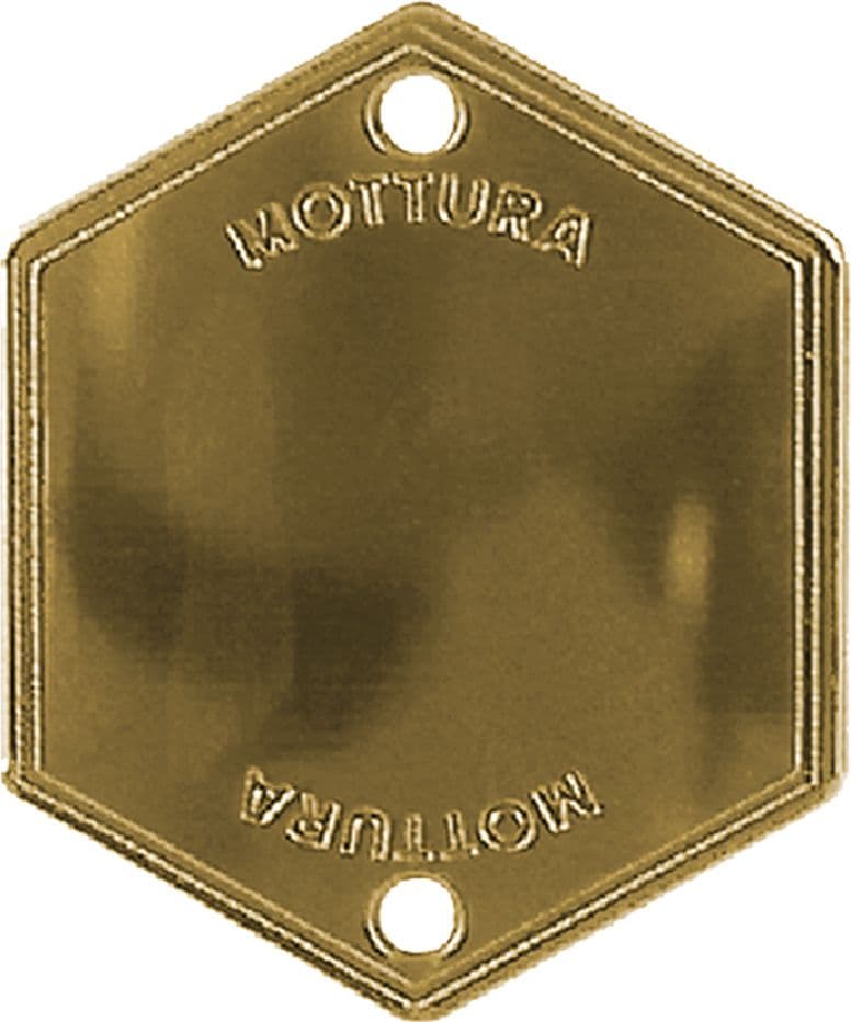 Mostrina Copriforo Art 95146 Mottura Finitura Argento - 2
