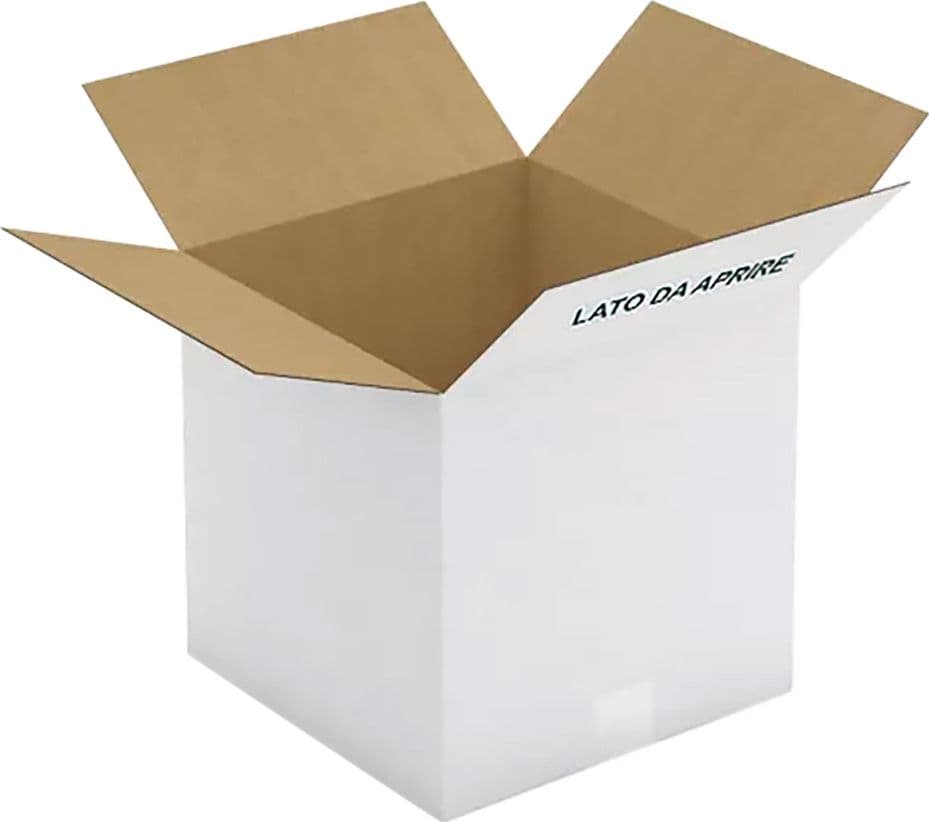 Scatola per Latte Olio in Cartone 4 da 15 Pezzi 30,5 X 25 X 31 cm – Autres