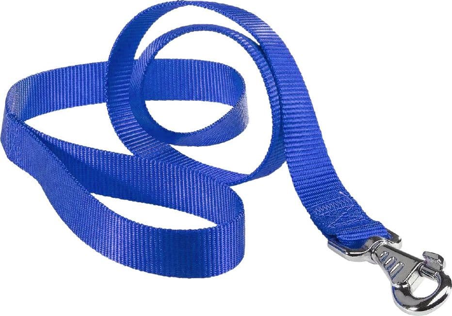 Guinzaglio per Cane X Ferplast Club g Blu 2 Pezzi 120 cm 10 mm - 2