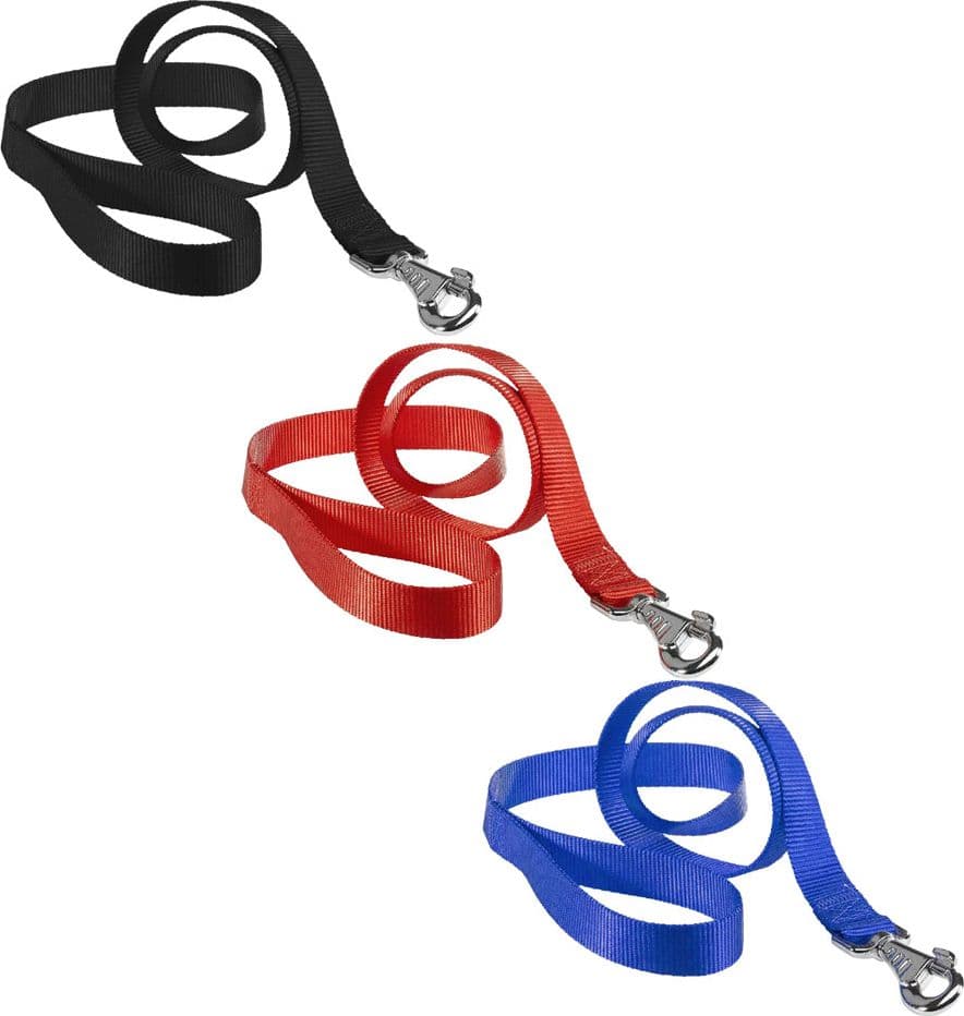 Guinzaglio per Cane x Ferplast Club g Blu 2 Pezzi 120 cm 10 mm - 2
