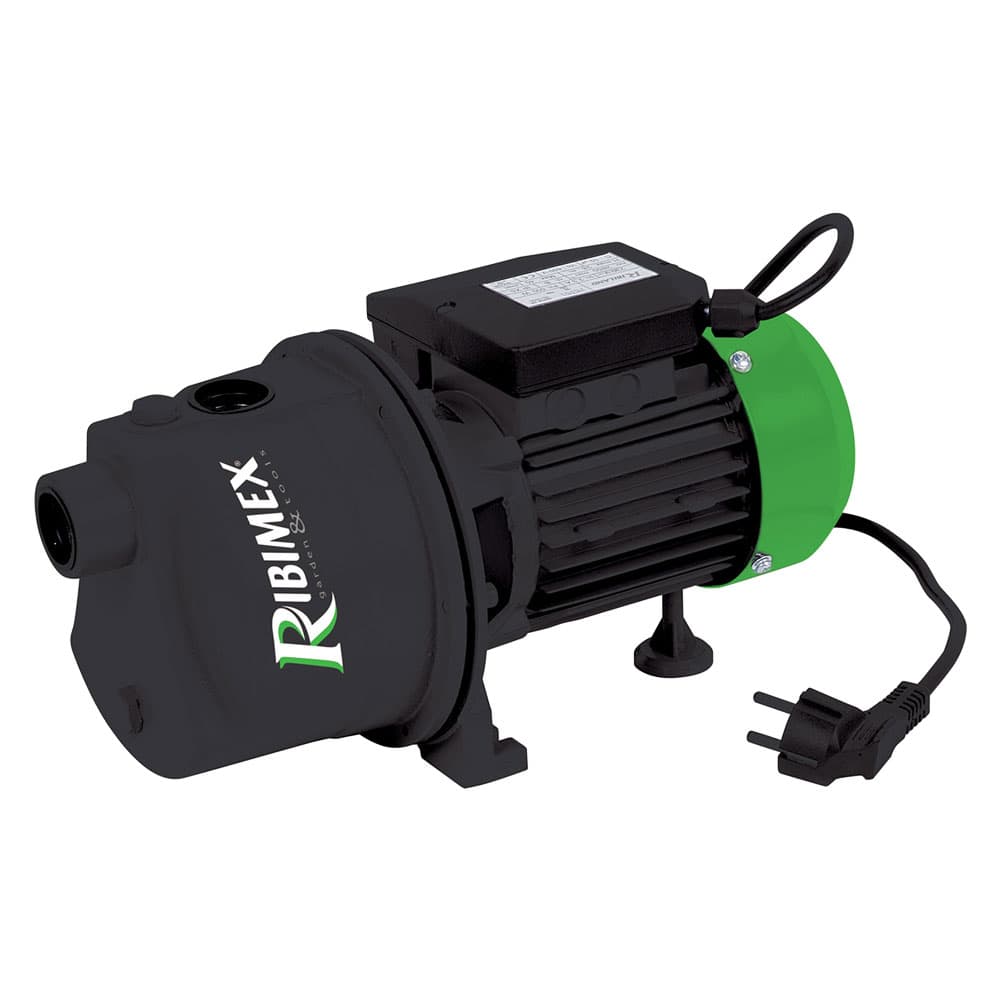Elettropompa Autoadescante 1 Hp Ribimex Prjet - 2