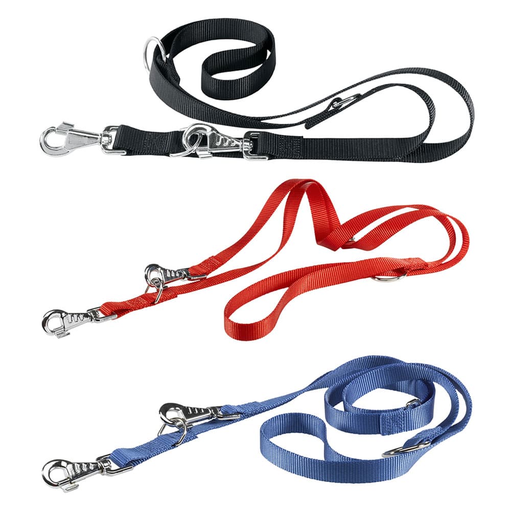 Guinzaglio Addestramento per Cane x Ferplast Club Ga 2 Pezzi 200 cm 20 mm - 2