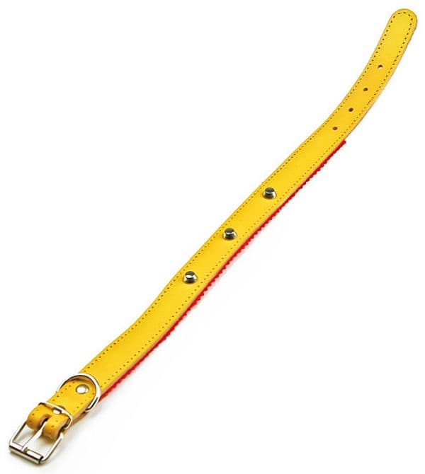 Colore Lare in Cuoio Felpato con Borchie Cm 51 x 2 5 Colore Assortiti 6 - 2