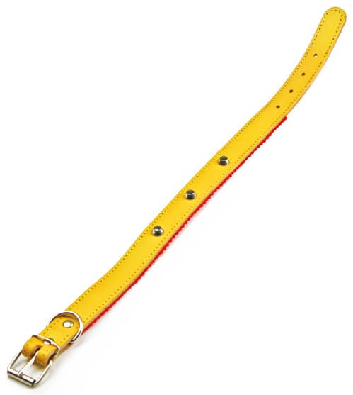 Colore Lare in Cuoio Felpato con Borchie Cm 51 x 2 5 Colore Assortiti 6 - 2