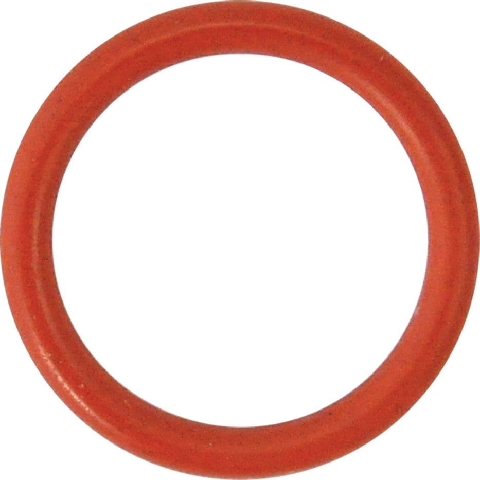 GUARNIZIONE O-RING PER PERNO per N 5 - mm 29,82 x  2,62  - REBER - 2