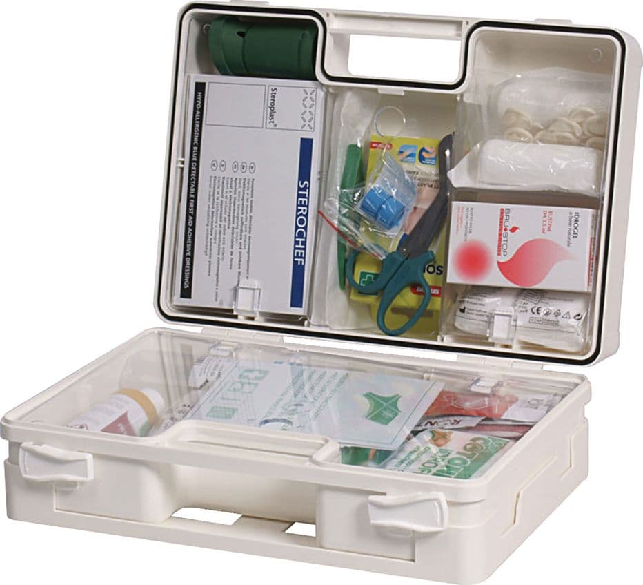 Cassetta Primo Soccorso Settore Alimentare Cps100 33 X 24 X in PVC 13 cm – Autres