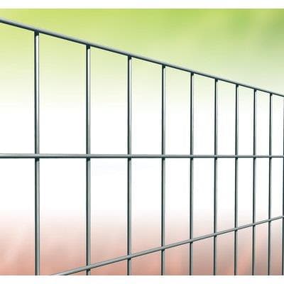 Rete Elettr Zincata 50X75 Margherita Cavatorta Mm 50X75 Mm 1,7 L.5001008 m - 2