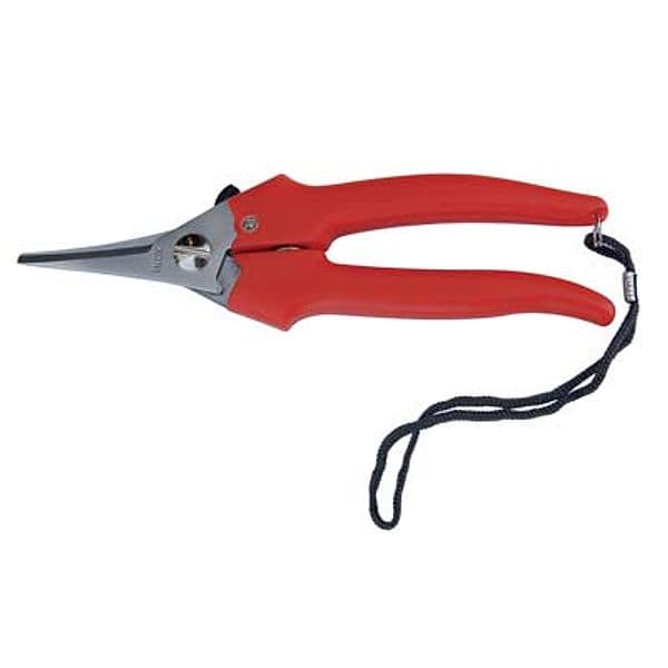 Forbice Raccolta a Punta Stretta Ausonia 19 cm 12 Pezzi
