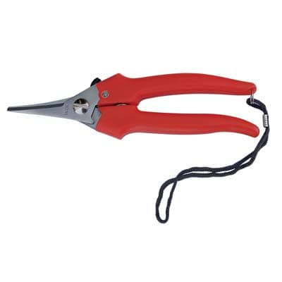 Forbice Raccolta a Punta Stretta Ausonia 19 cm 12 Pezzi - 2