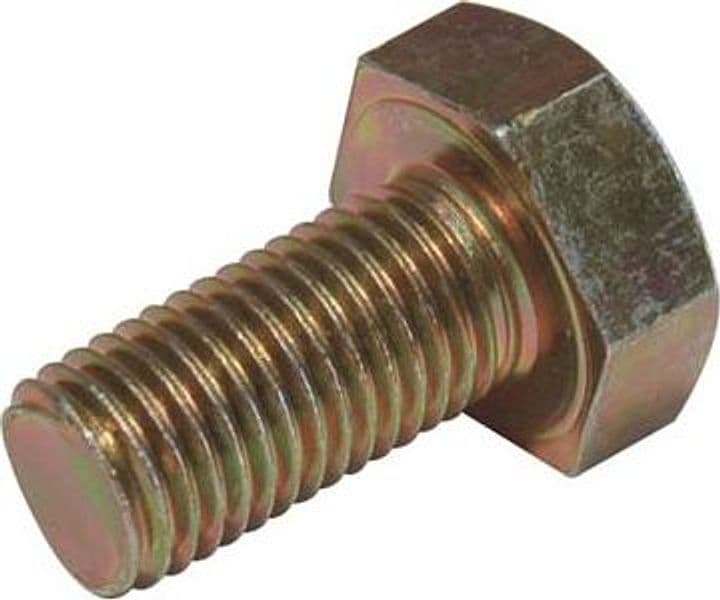 Vite Coppia Conica Decespugliatore Sx R972170 M10 x 1,25 mm 20 mm 10 Pezzi - 2