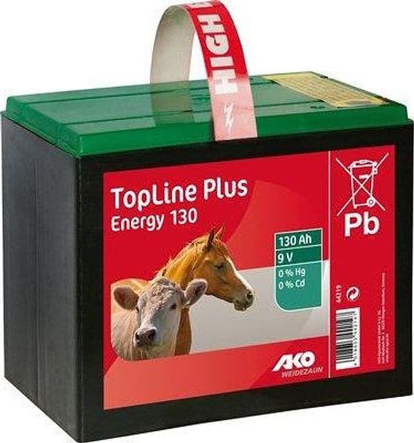 Batteria Elettrorecinzione Top Line Ako Kerbel Volt 9 Ah 130 a Secco - 2