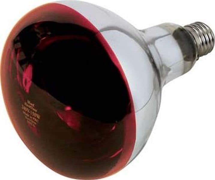 Lampada Riflettore Pulcini Philips Infrarossi Volt 230 Watt 150 E27 Mm 125 - 2