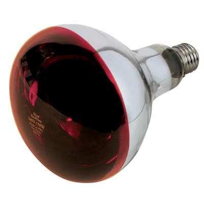 Lampada Riflettore Pulcini Philips Infrarossi Volt 230 Watt 150 E27 Mm 125 - 2