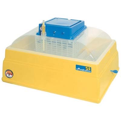 Incubatrice Covatutto 54 Novital Uova 54 cm 60X26 H.cm 42 - 2